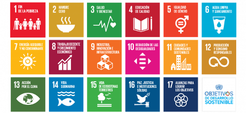 Imagen No 4. Objetivos de Desarrollo Sostenible. Fuente: Organización de las Naciones Unidas, 2020.
