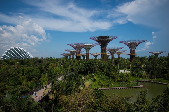 gardens-by-the-bay-singapur-flickr-usuario-por-carla-cometto-licencia-cc-by-2.0-580x387.jpg